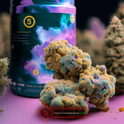 Girl Scout Cookies